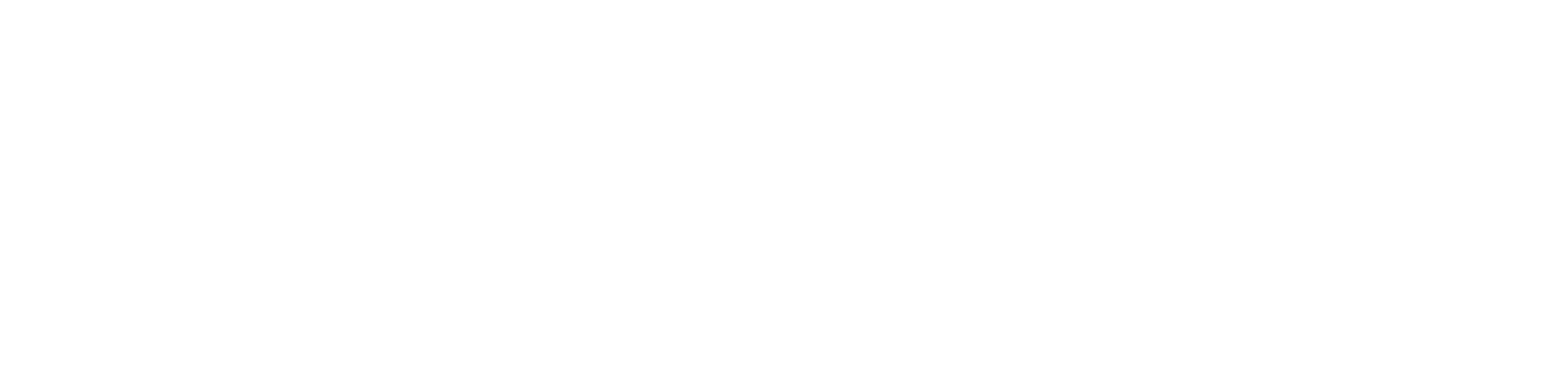 Stratemeyer Logo